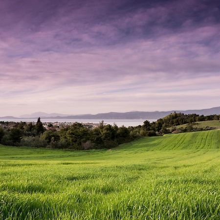 Topalidi'S Home Nea Palatia エクステリア 写真